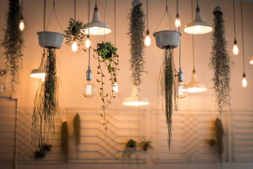 Interior design company in Bhubaneswar